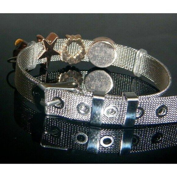 Tiger Eye Gemstone- Stainless Steel Mesh Keeper Bracelet-Band-Slide Charms-552 - Picture 3 of 9